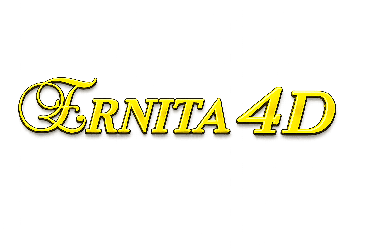 ERNITA4D Logo
